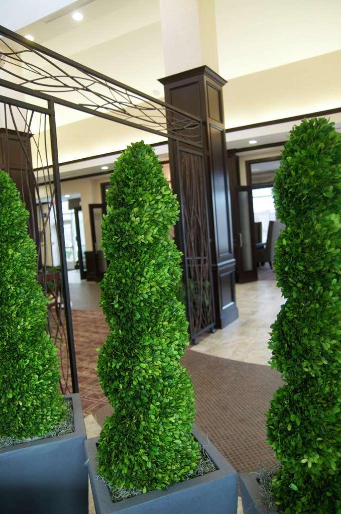 Hilton Garden Inn New Braunfels Interiør billede